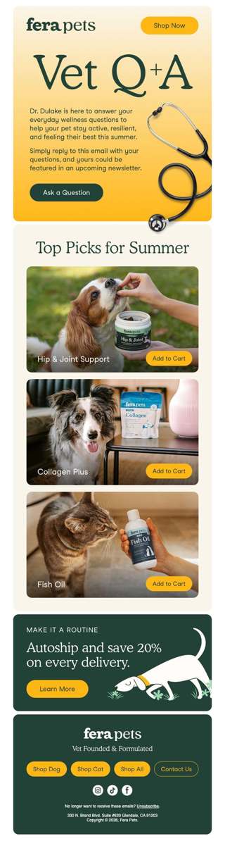 Ask the Vet: Summer Wellness Edition ☀️