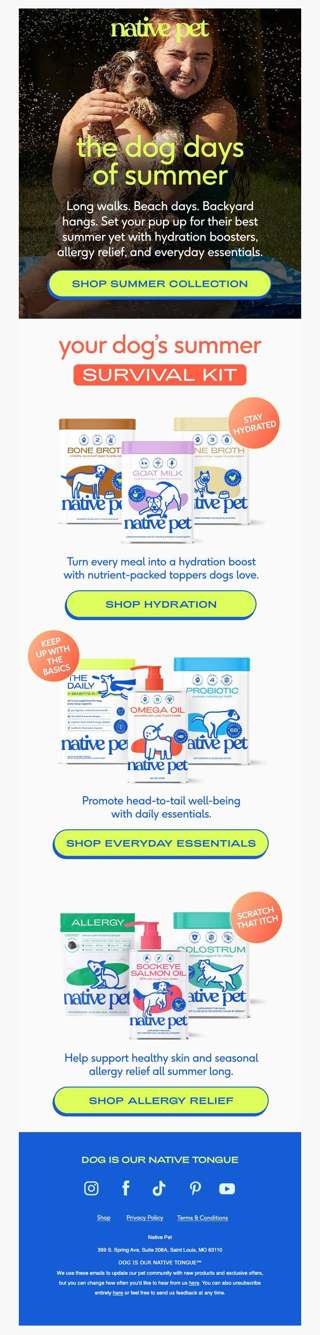 your dog's summer survival kit