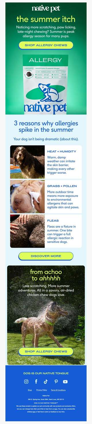 summer allergy season is here