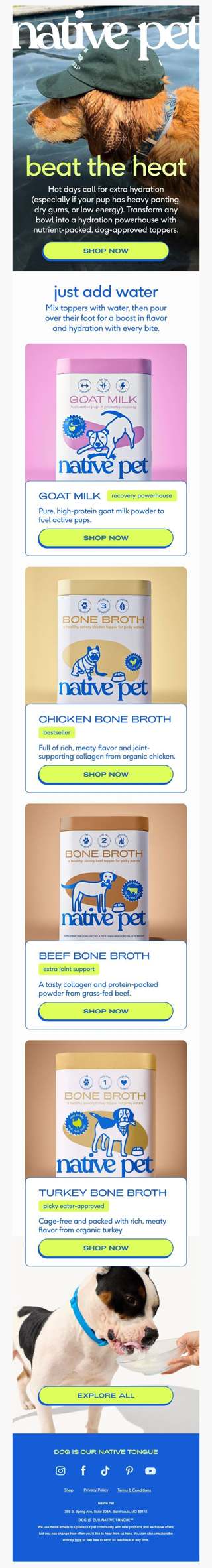meet your pup’s summer staple ☀️