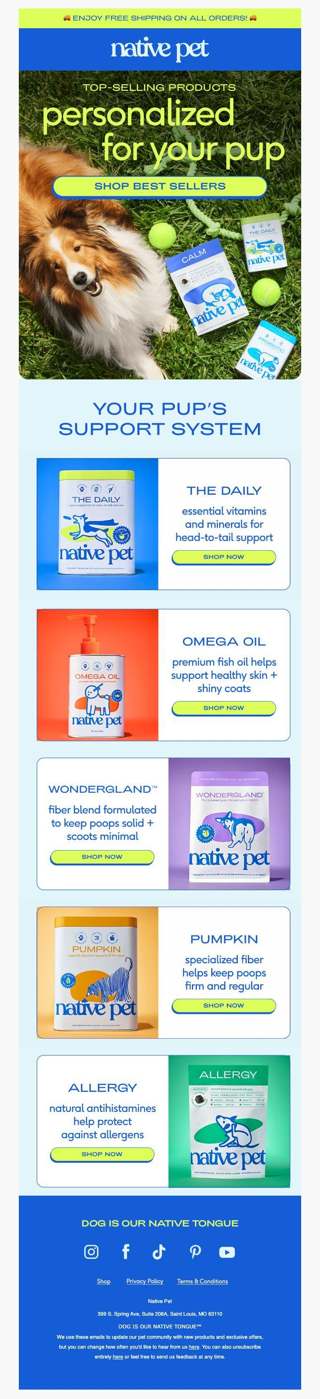 fan favorites picked for your pup