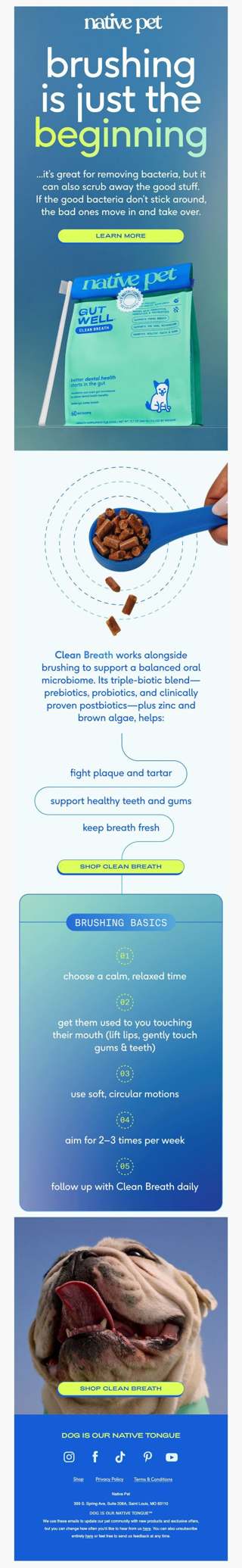 🪥 + GutWell Clean Breath = ✨🦷✨