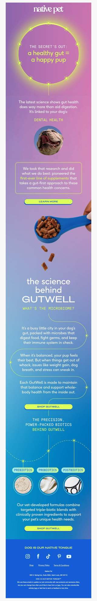 so…what’s gut health all about?