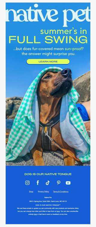 is sunscreen for dogs even a thing?
