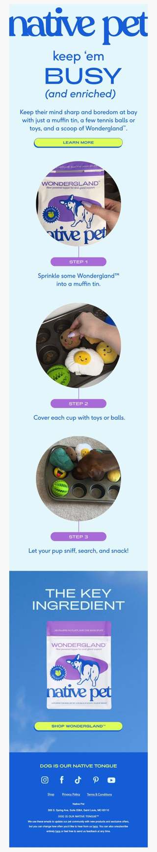 calling all bored pups  📣