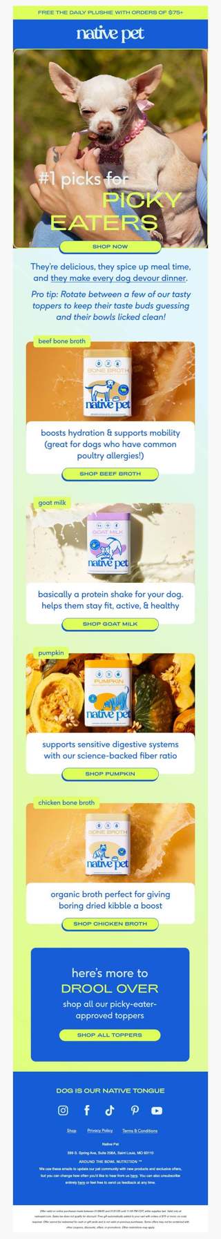 tasty toppers that picky pups can’t resist
