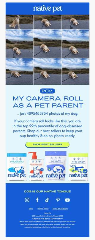 “anyone want to see a photo of my dog?”