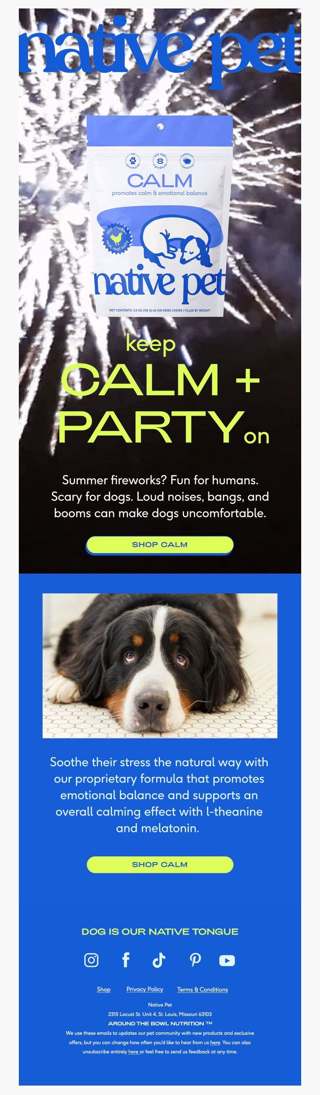 help your dog stress less this 4th of july 🎆