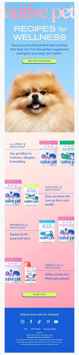 your pup's guide to looking good 😎