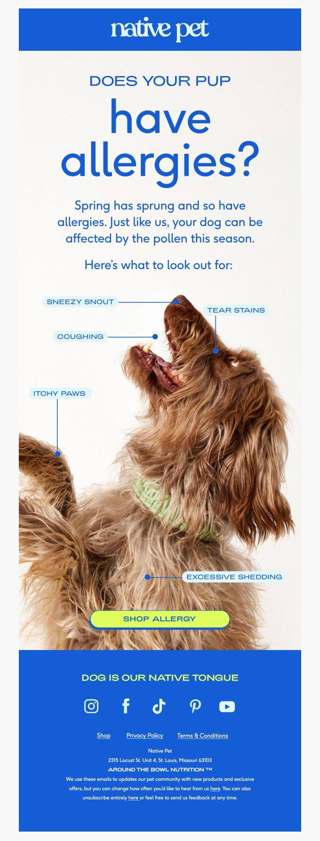 goodbye sneezy snout!