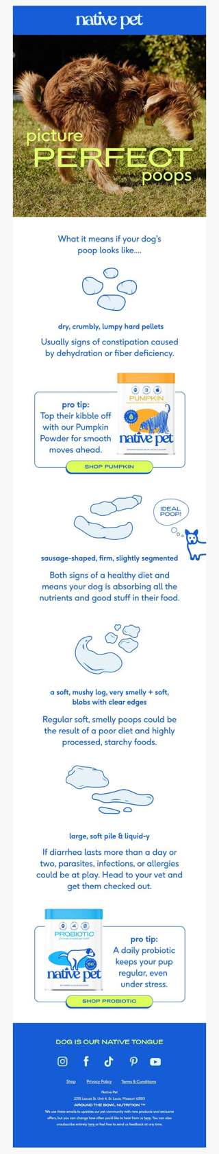 healthy poops = happy pups!