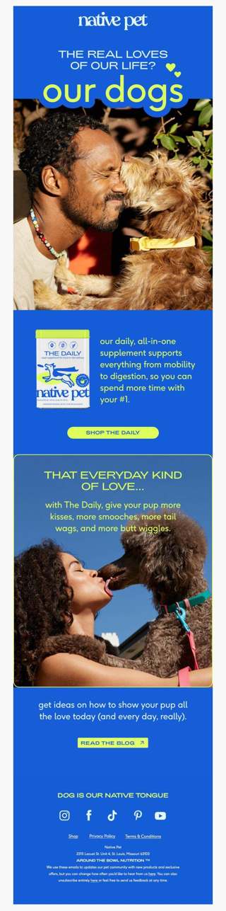as if we needed a day to obsess over our dog….