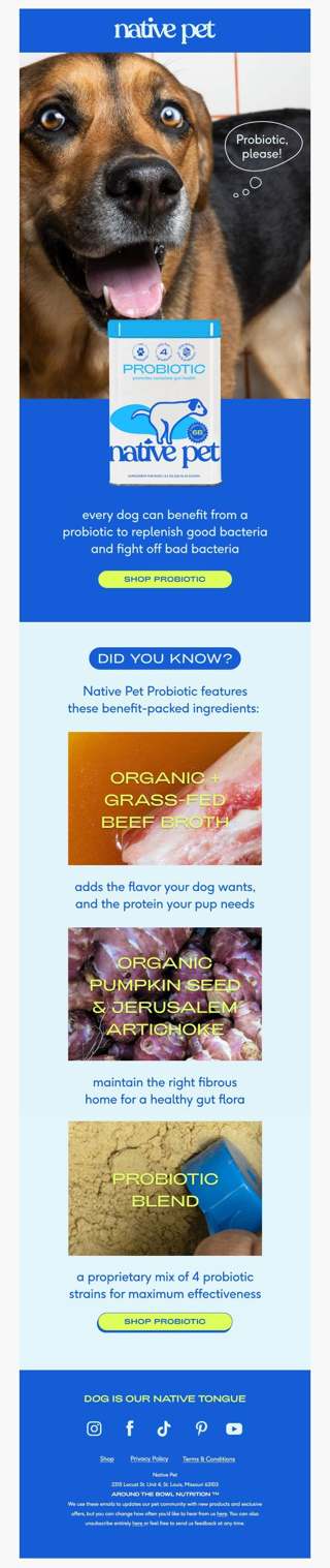 your pup needs a probiotic, just like you.
