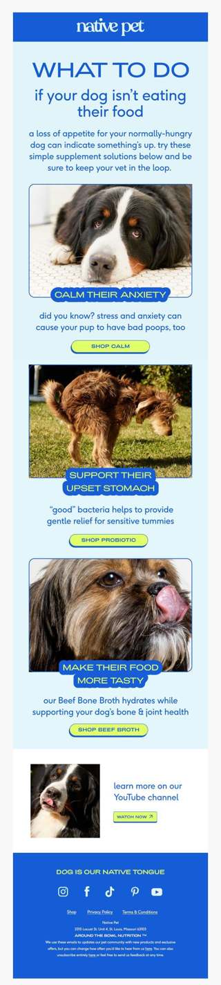 so your dog isn’t hungry?