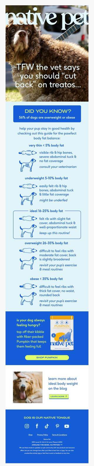 healthy weight = happy pups