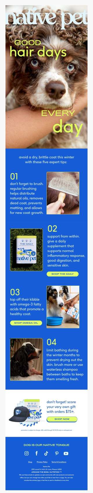how to care for your dog’s winter coat