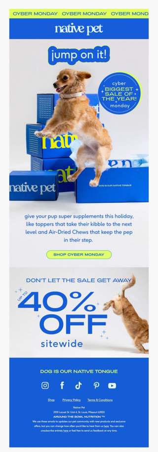 paws on the mouse! save up to 40% OFF