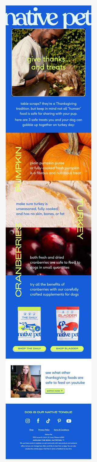 pup-approved foods you can share on Thanksgiving!