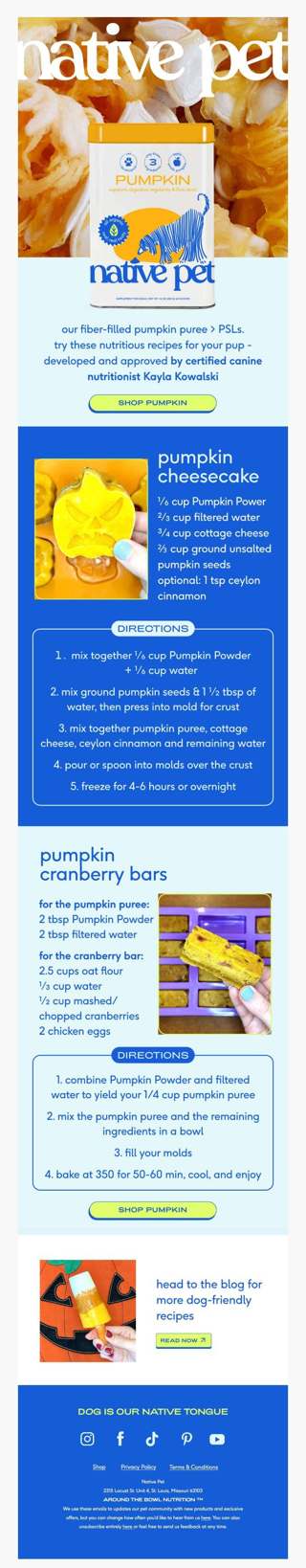 pumpkin recipes to make for your pup