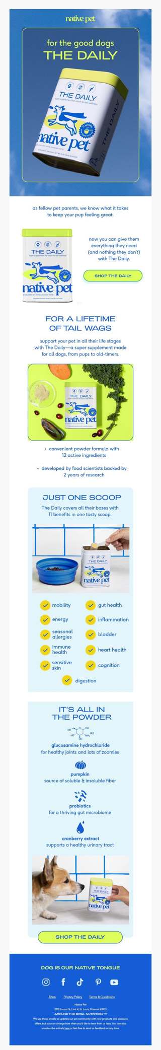 super supplements for super pups