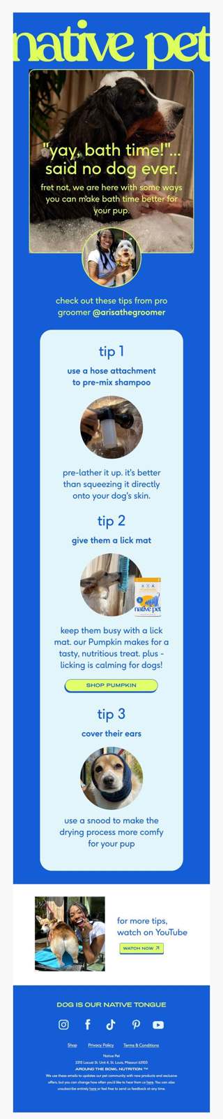 hacks for bathing your dog at home