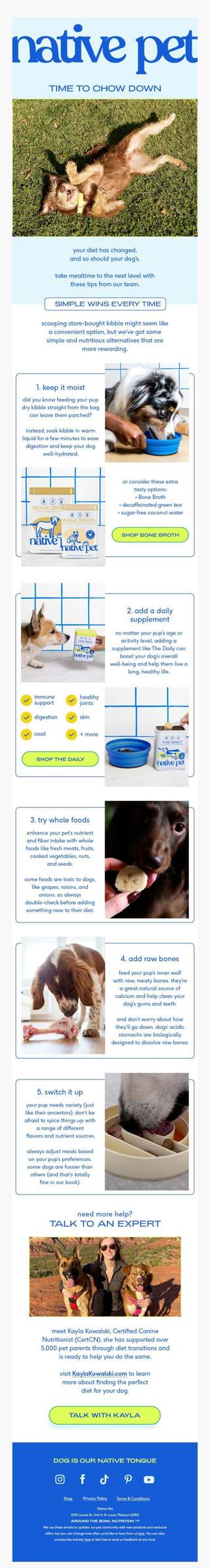 diet upgrades for a healthy pup