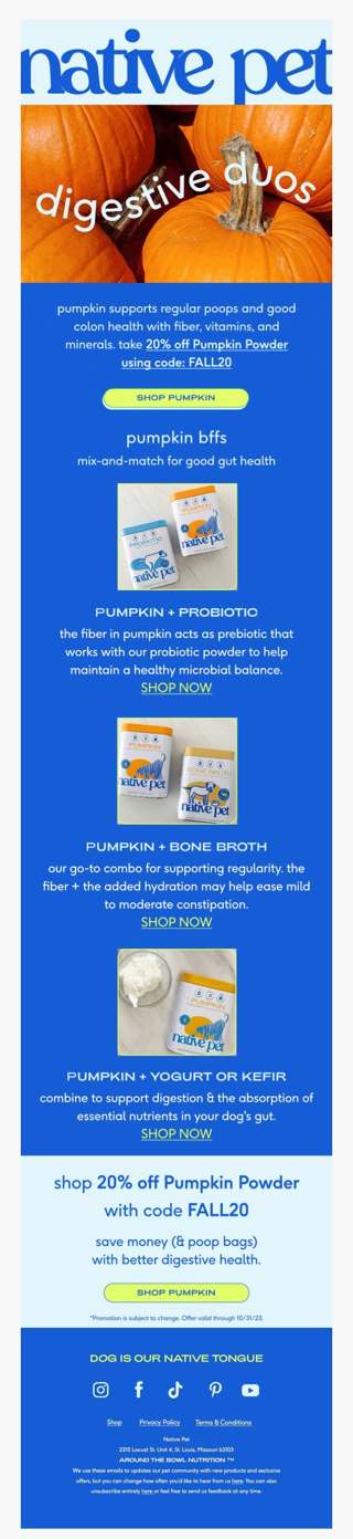 the perfect (pumpkin) pairing