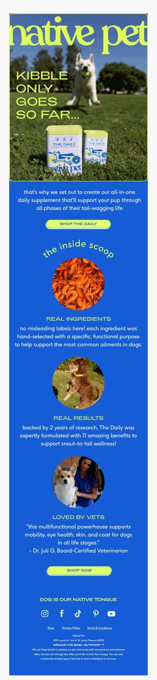 why your dog needs The Daily