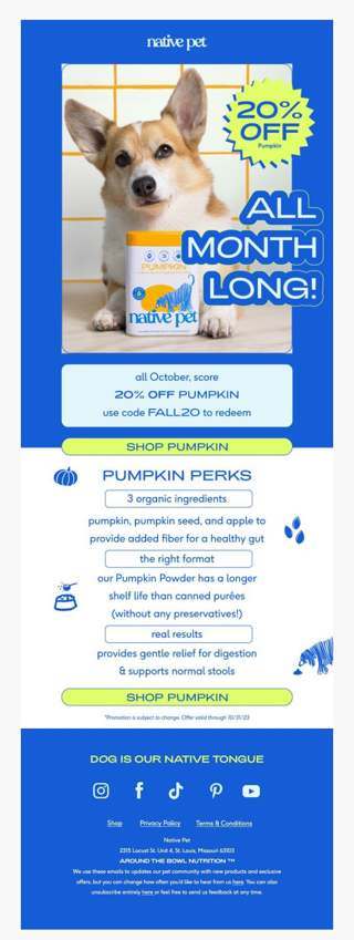 save 20% on Pumpkin this month