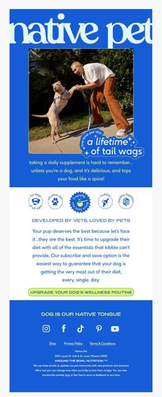 win some major kudos from your dog today!
