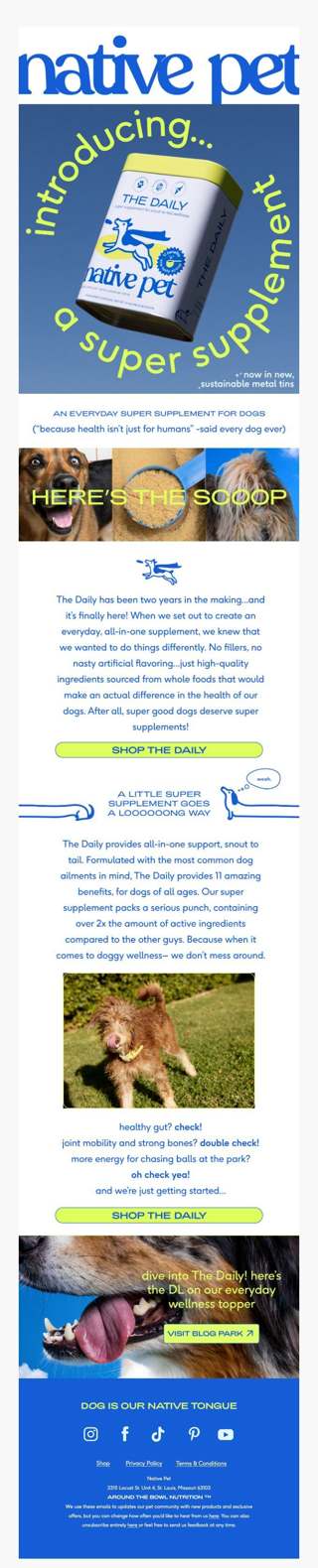 NEW AT NATIVE PET ✨ The Daily Super Supplement