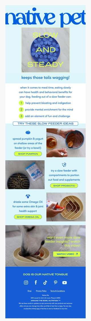 slow and steady wins the taste