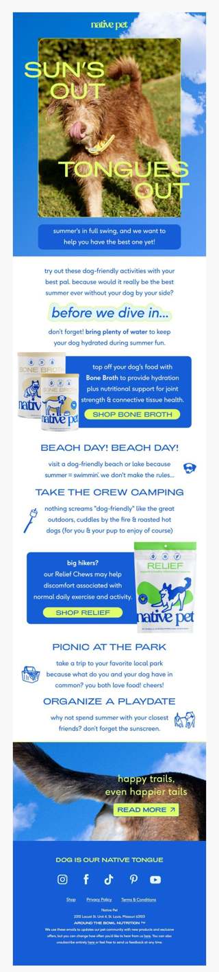 what to do with your dog this summer?