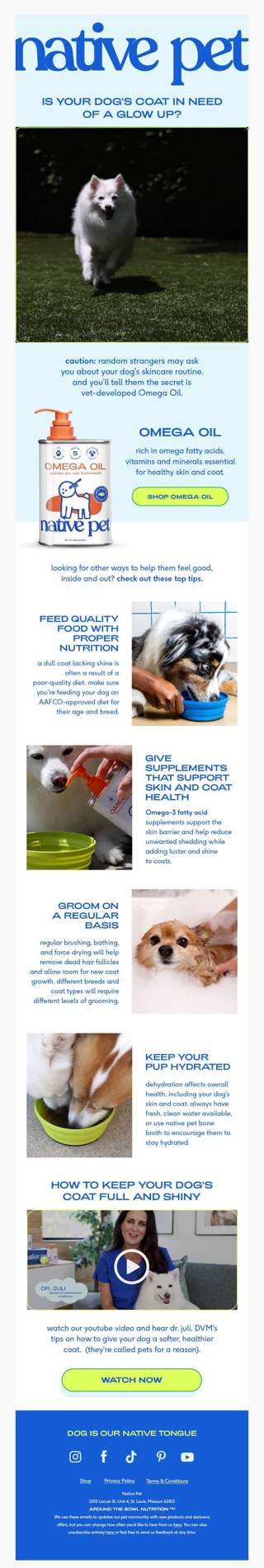 does your dog’s skincare routine need a revamp?