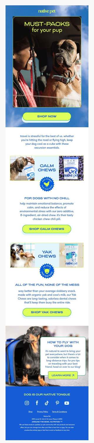 how to make travel with your pup less turbulent