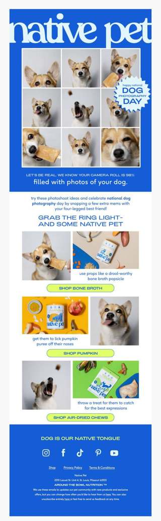 happy national dog photography day!