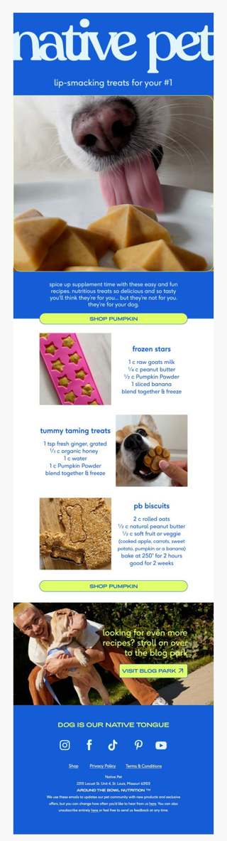 4 easy treat recipes for your dog
