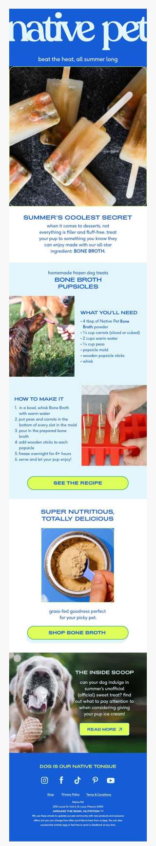 how to beat the dog day heat