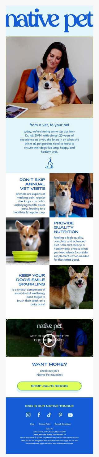 3 vet-approved tips for your pup