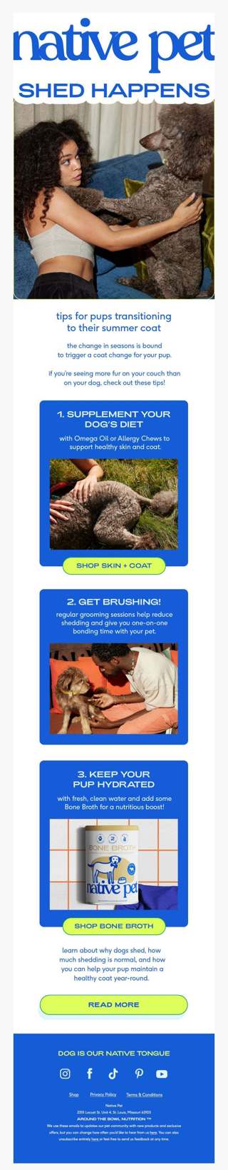 is your dog blowing their winter coat?