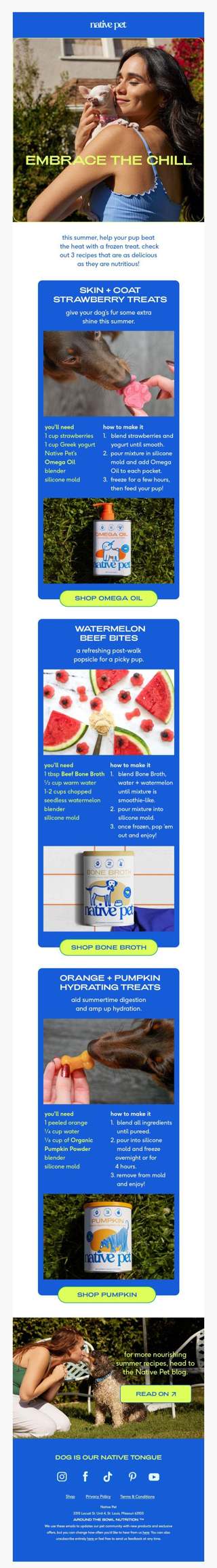 3 frozen treats for sunny season