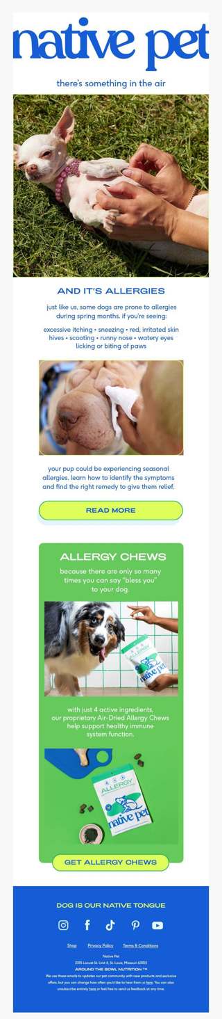 signs your dog has seasonal allergies