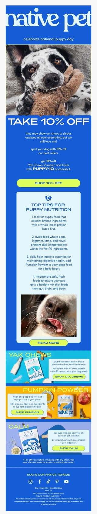 happy national puppy day!