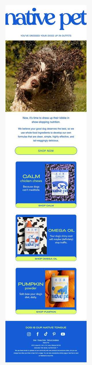 kickstart your dog’s health routine