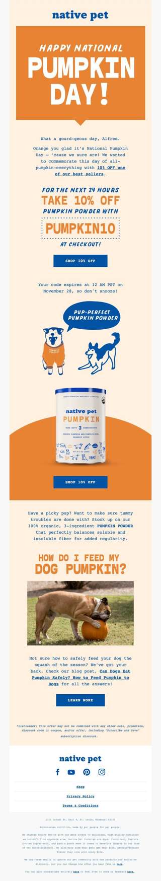 Get 10% OFF Pumpkin Powder Today Only