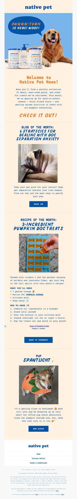 Native Pet News: September Edition 🍂