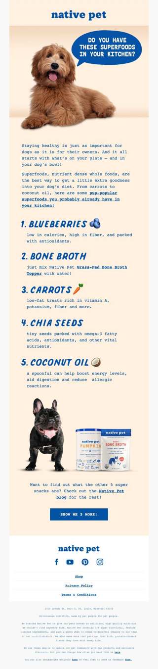 10 Superfoods for Dogs 🥕🥒🫐