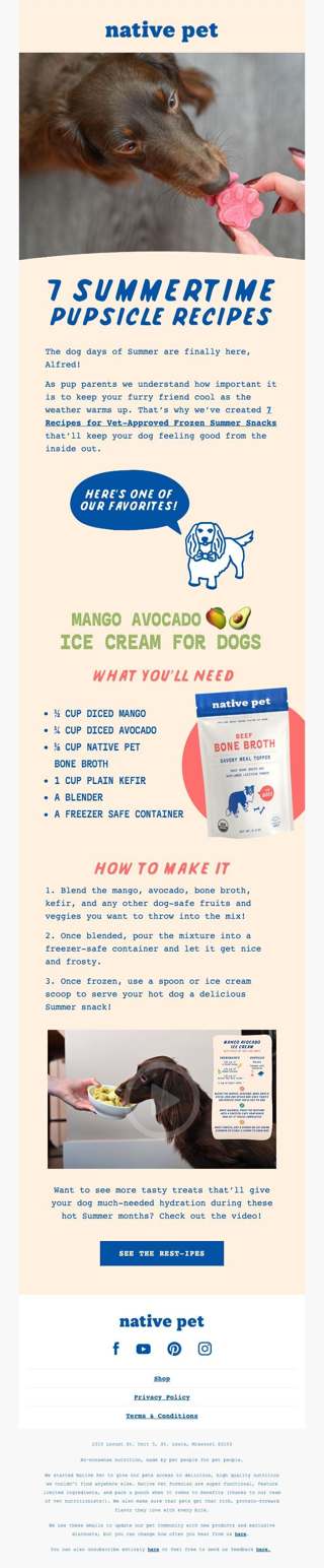 7 Vet-Approved Frozen Summer 🐶Snacks