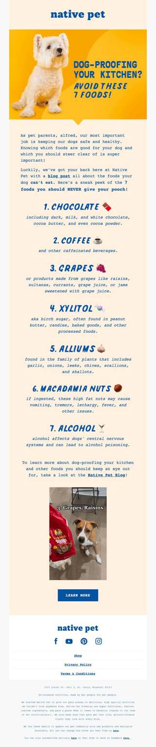 The 7 Foods You Should NEVER Give Your Dog