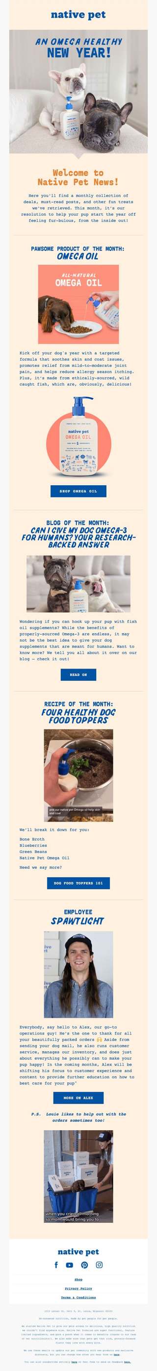 New Year, New Newsletter